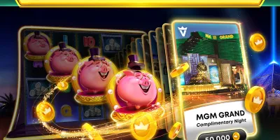 Play99exch Dashboard Screenshot